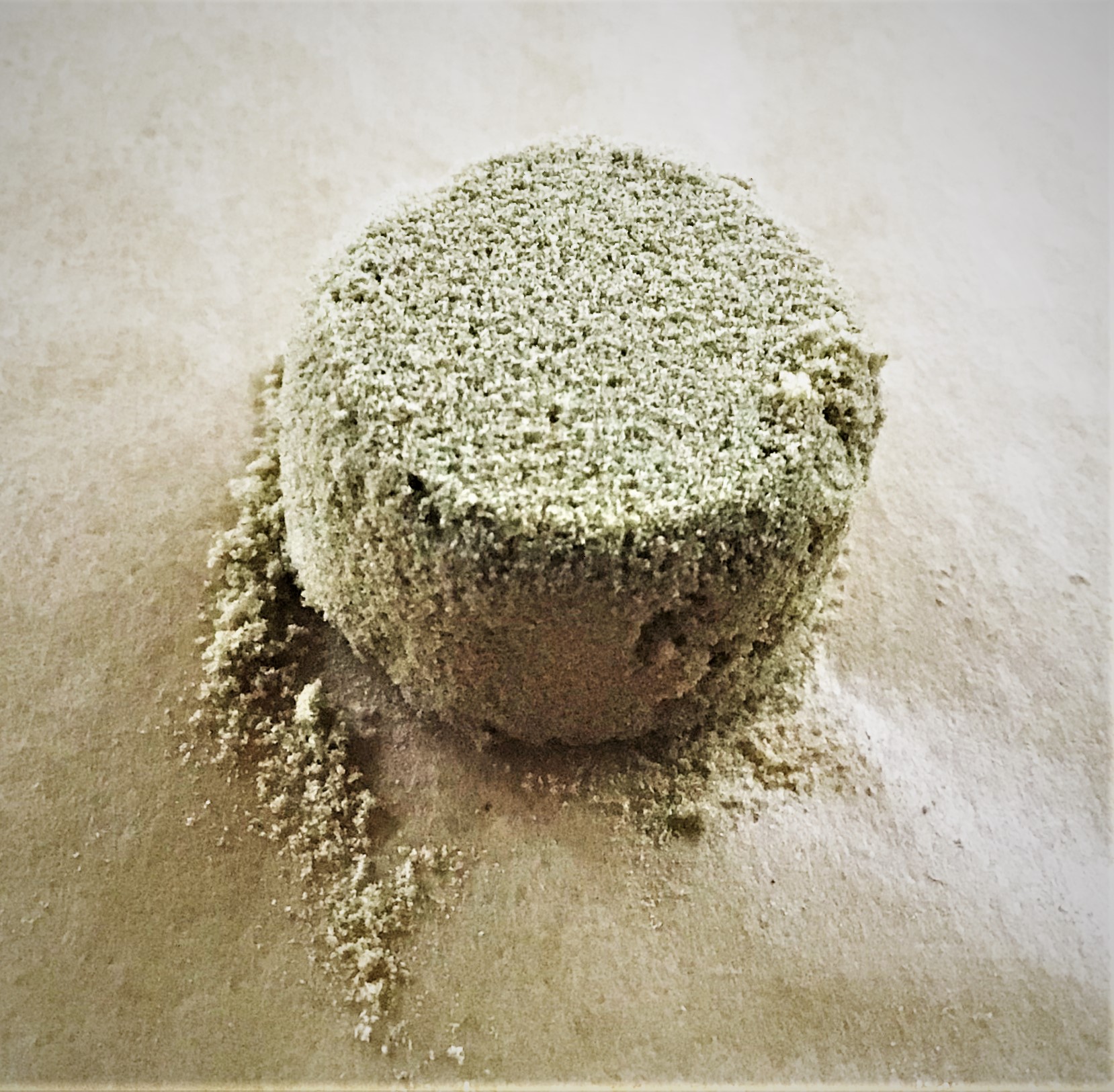 Tumble  smash animals making some hash 17