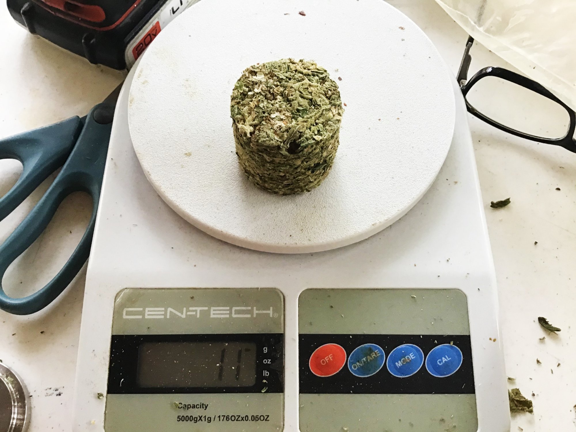 Tumble  smash animals making some hash 5