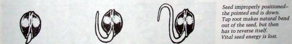 Turnaround 2