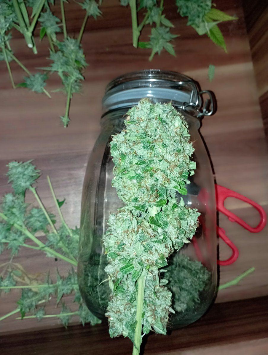 Twgreenade