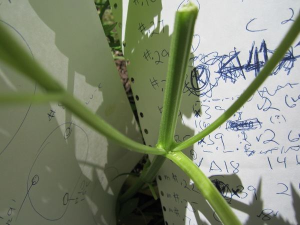 TwinAxial2