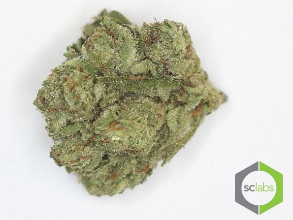 Twist og ld16