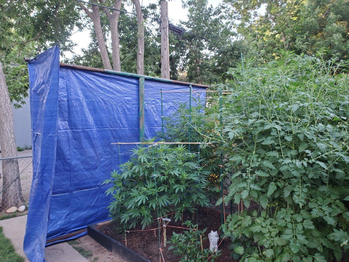 Two weeks after heavy rain 3