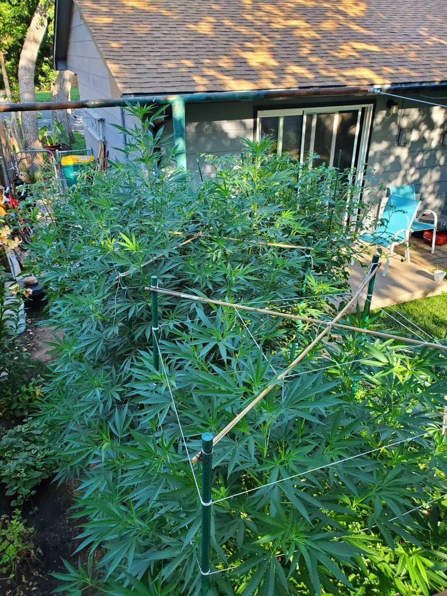 Two weeks after heavy rain