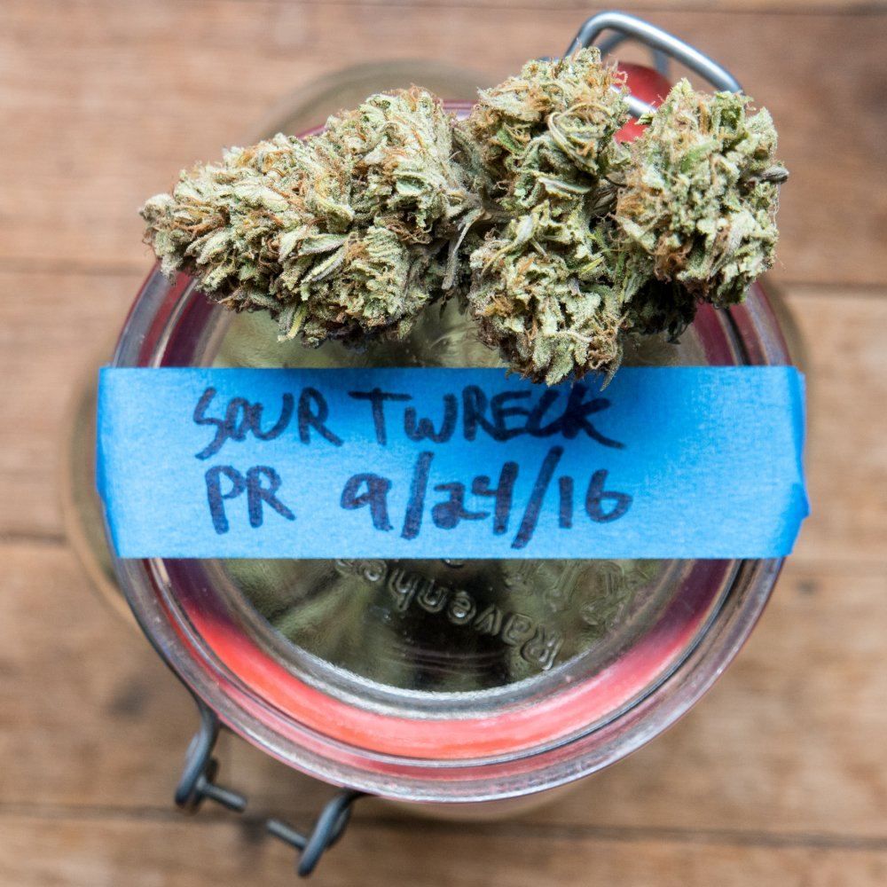 Twrek jar web