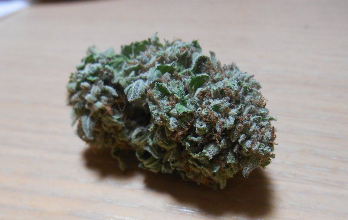 Twsb1nug