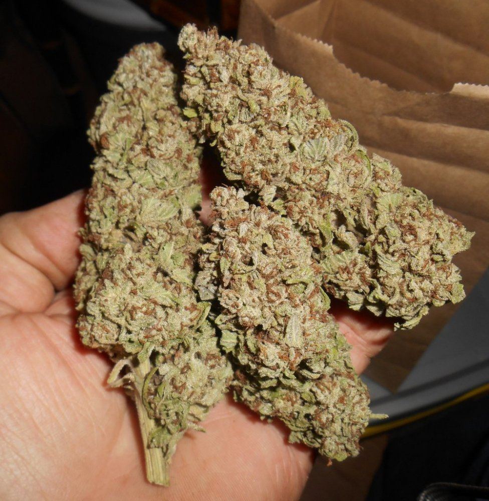 TWSB1NUGSINHAND