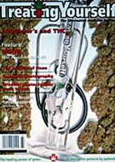 Ty issue 14