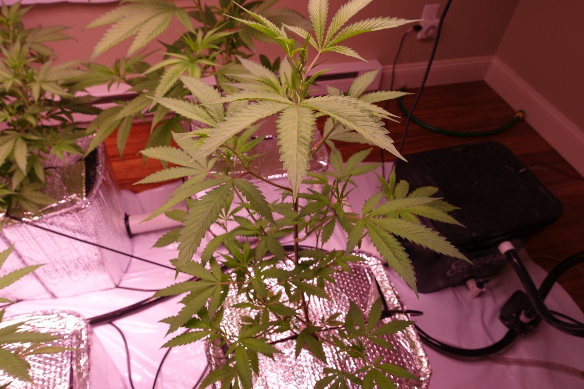 Uc6xl  apache tech led 3