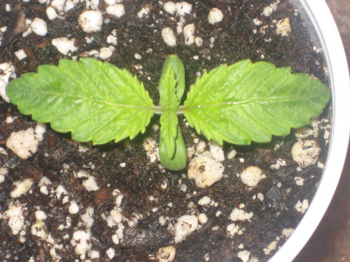 Ud 5 day7 a