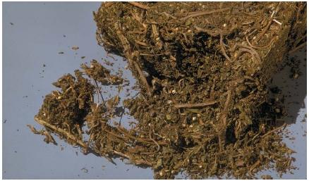 Uesc 06 img0353