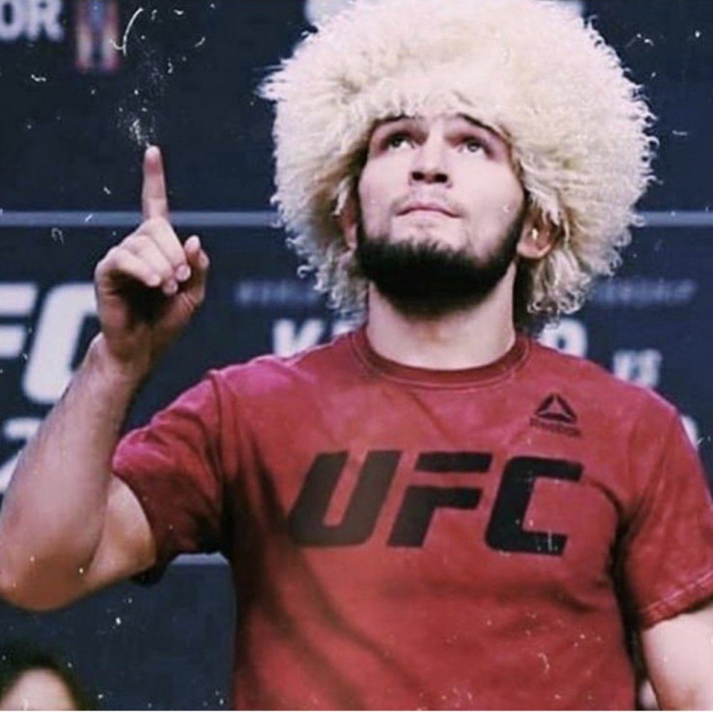 Ufc 229 khabib vs leprechaun 2