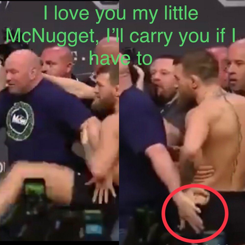 Ufc 229 khabib vs leprechaun 3