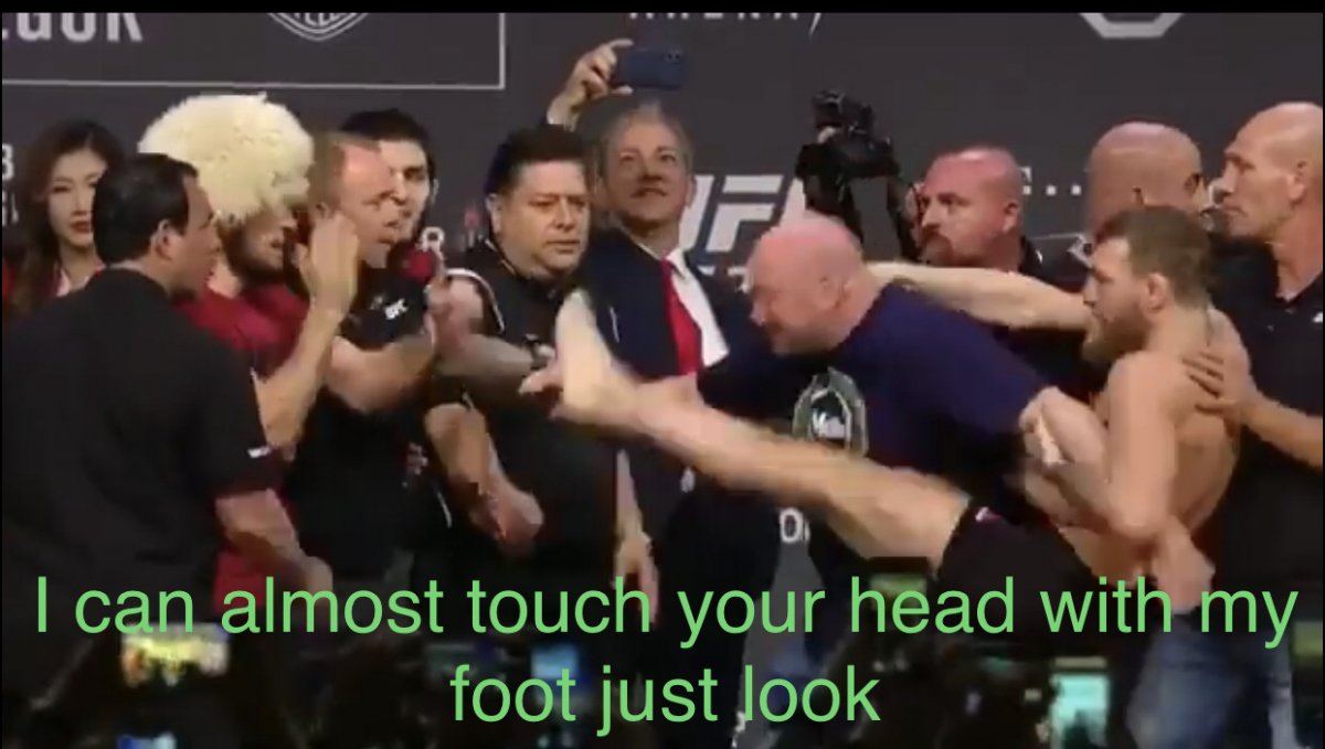 Ufc 229 khabib vs leprechaun