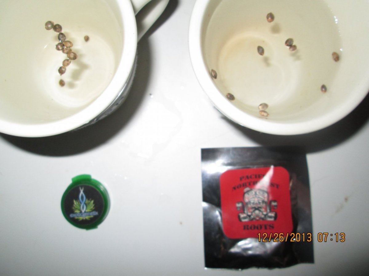 Ultra alien grow show 4