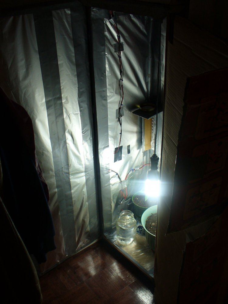 Ultra stealth closet grow 7