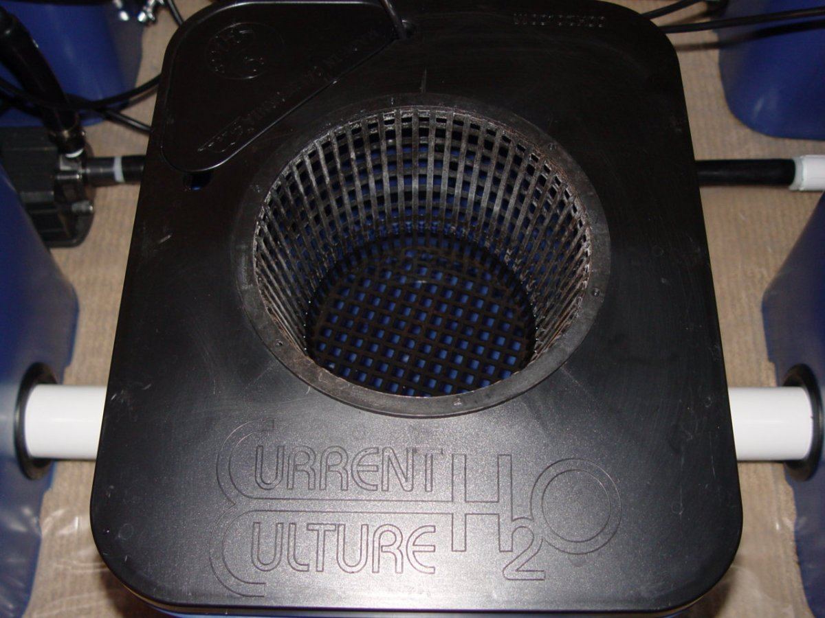 Under current r15 9