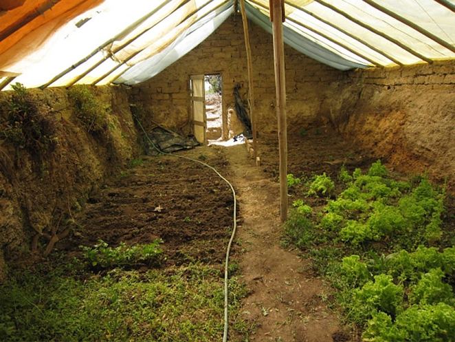 Underground Greenhouse 2