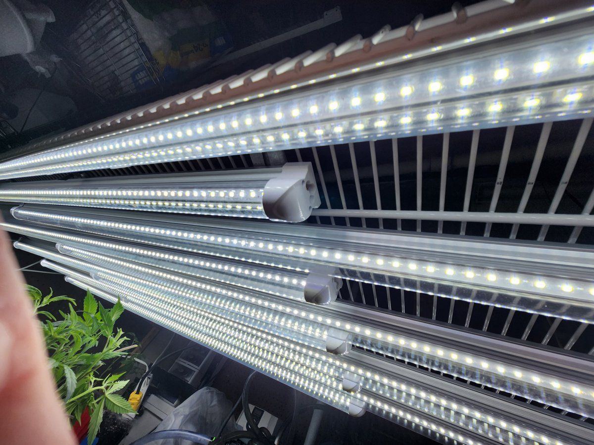 Underlights