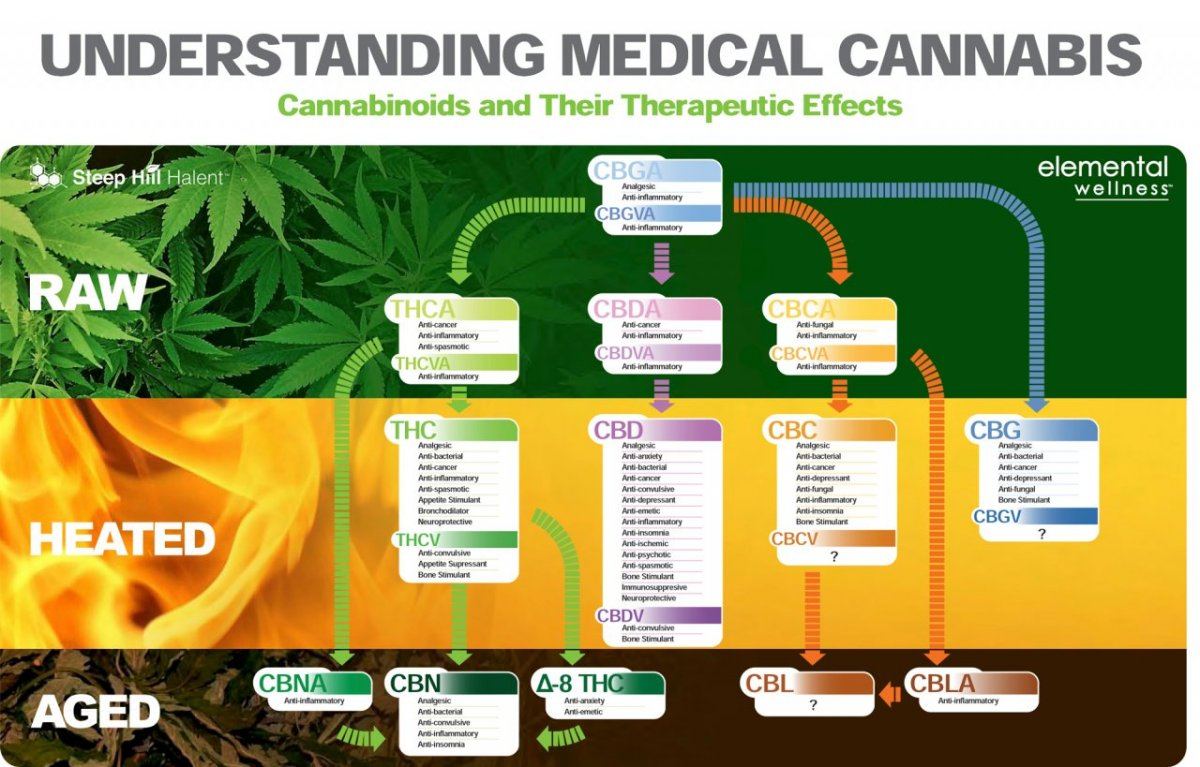 Understanding Medical Cannabis 2