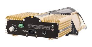 Unknown 1