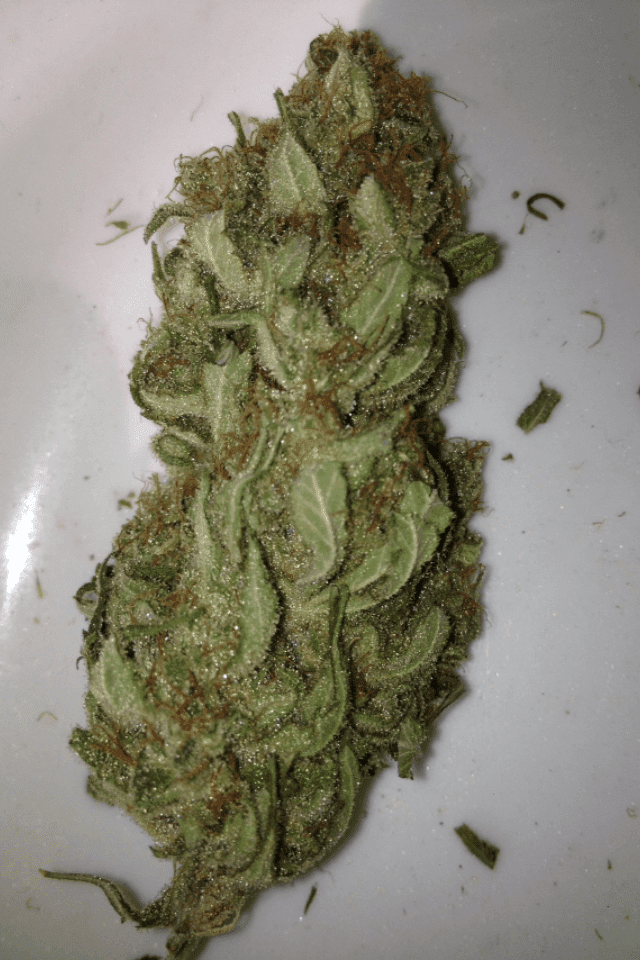 Unknown 15