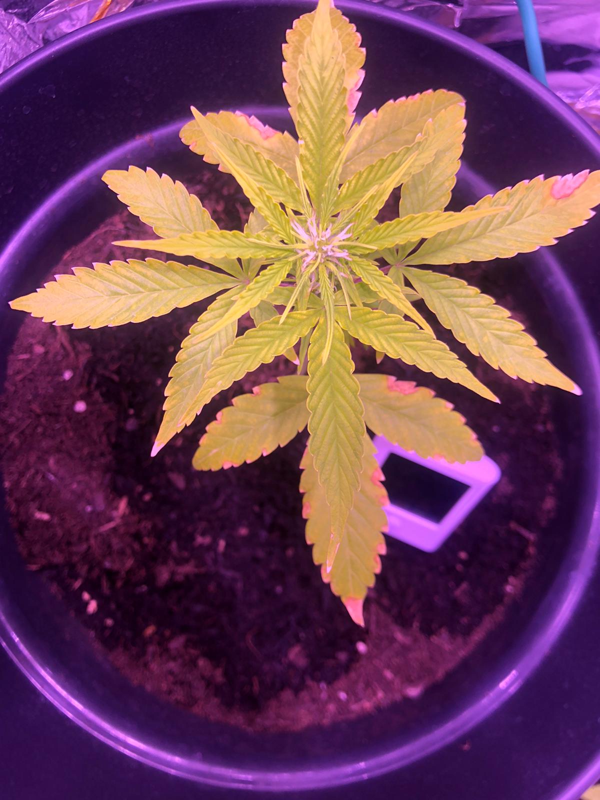 Unknown 6
