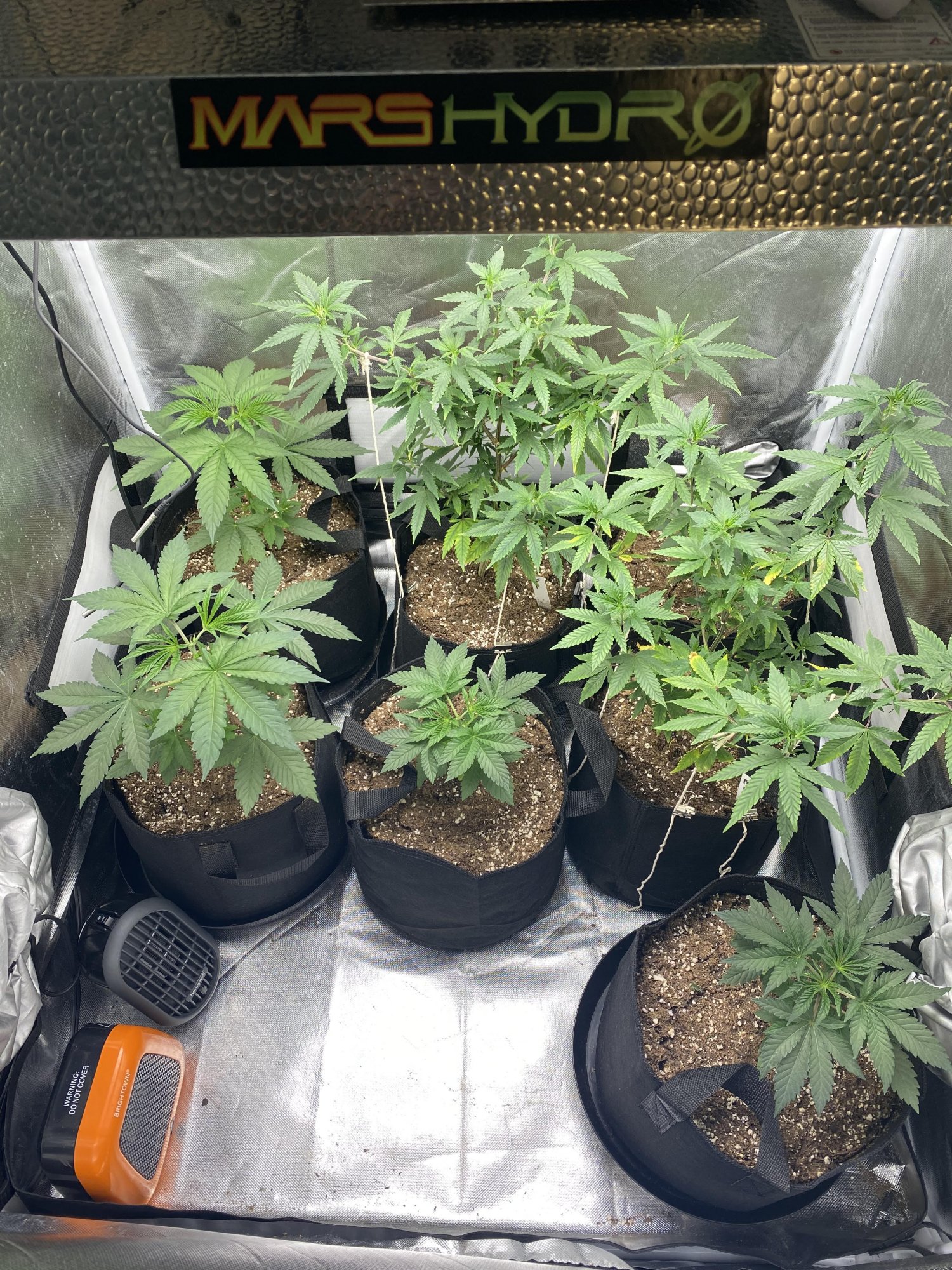 Unnamed 4