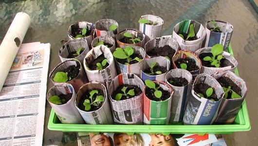 Up cycling indoor grow stuffs