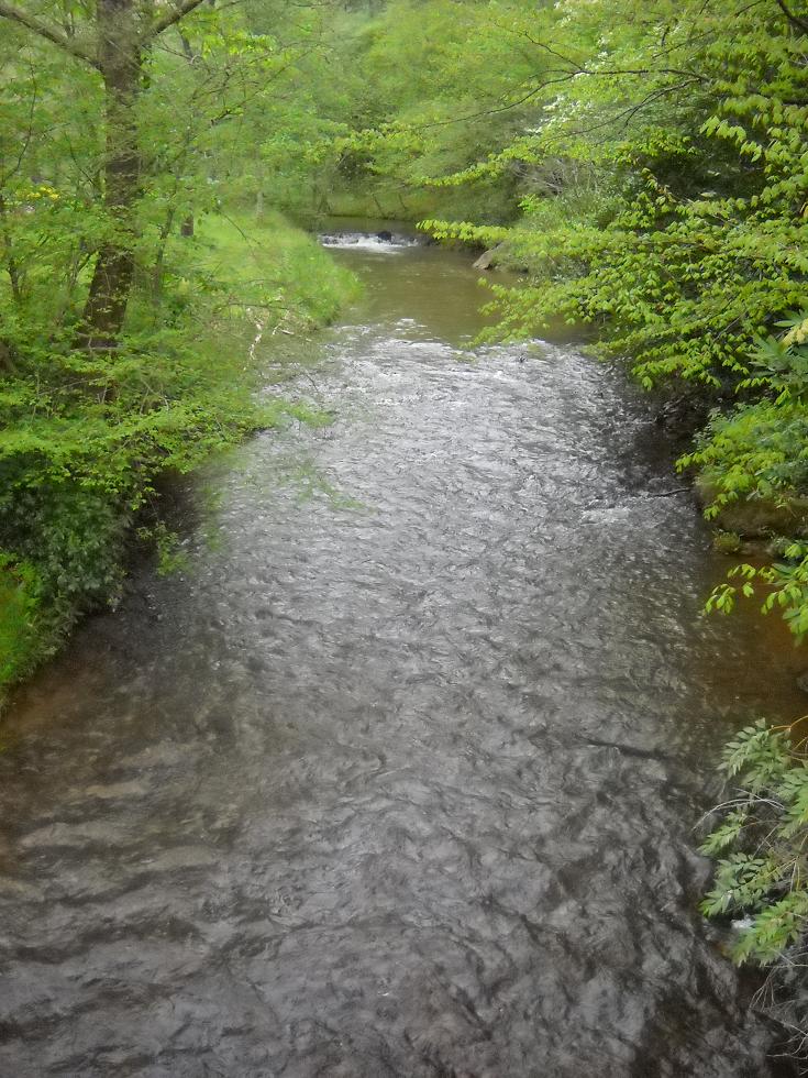 Upstream