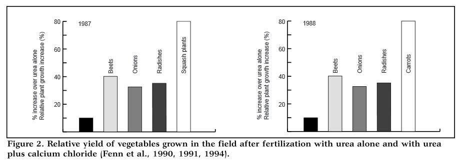 Urea   Ca yield increase