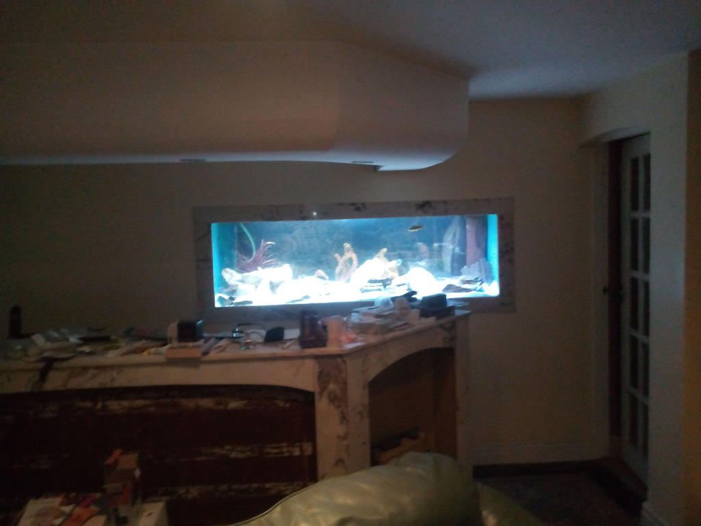 User451648 pic1565615 1455910808