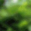 User57934 pic1060041 1366949241 thumb