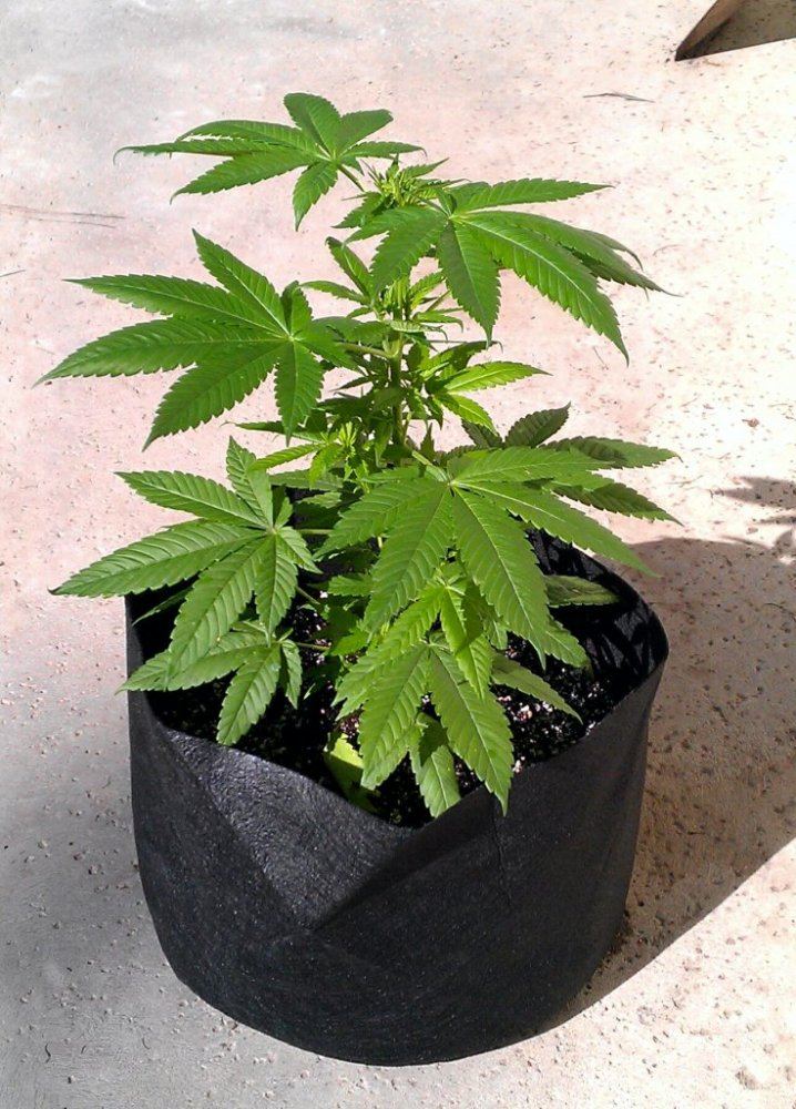 UW 1   2 24
