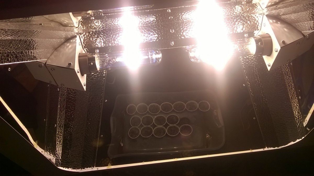 V  628B