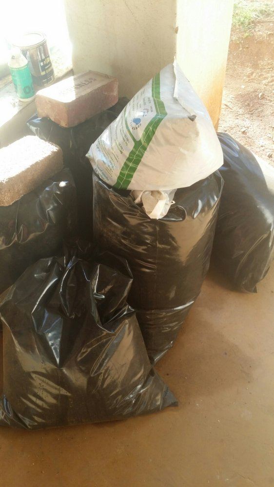 Valley summer adventures 8
