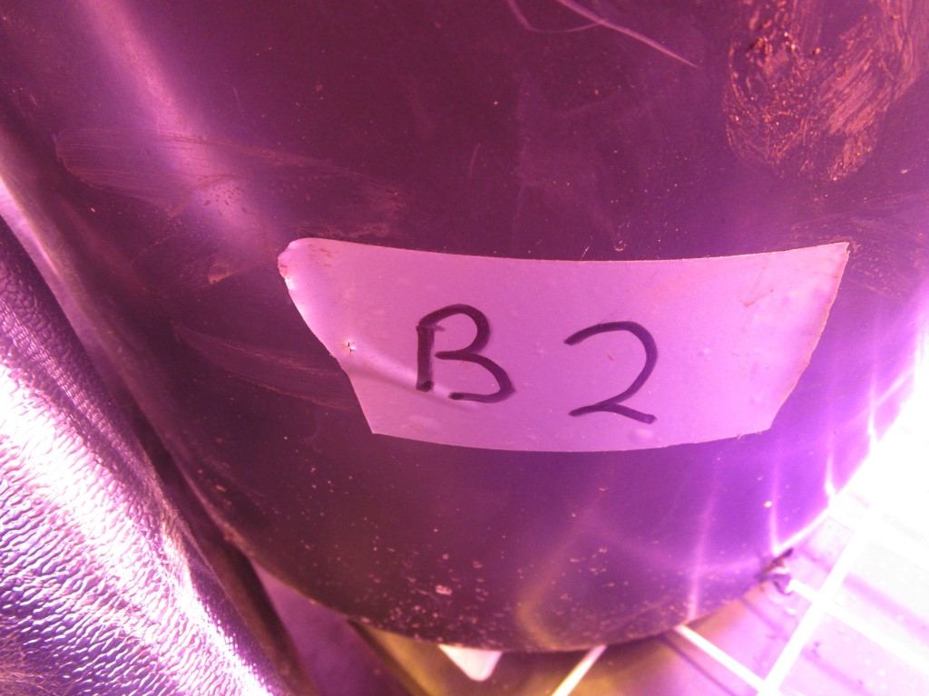 Veg 010