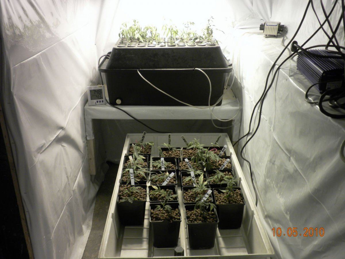 Veg room