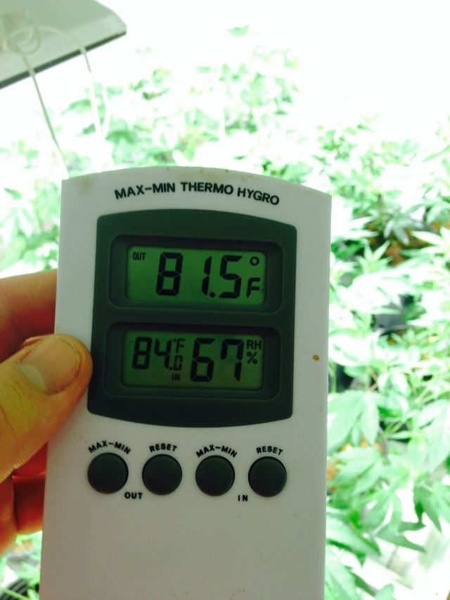 Veg temp and humidity 10 28 14