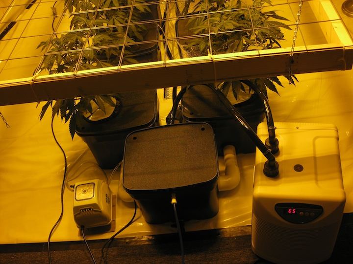 Veg2 6
