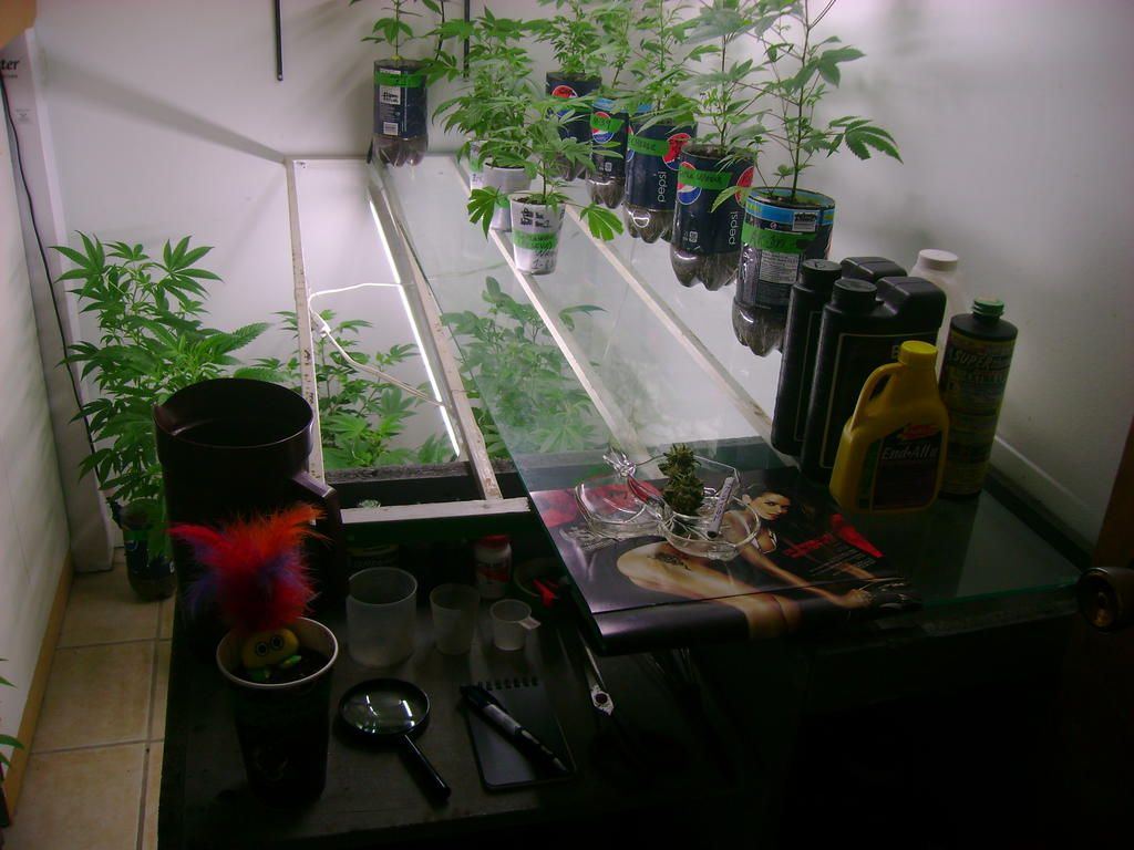 Vegroom