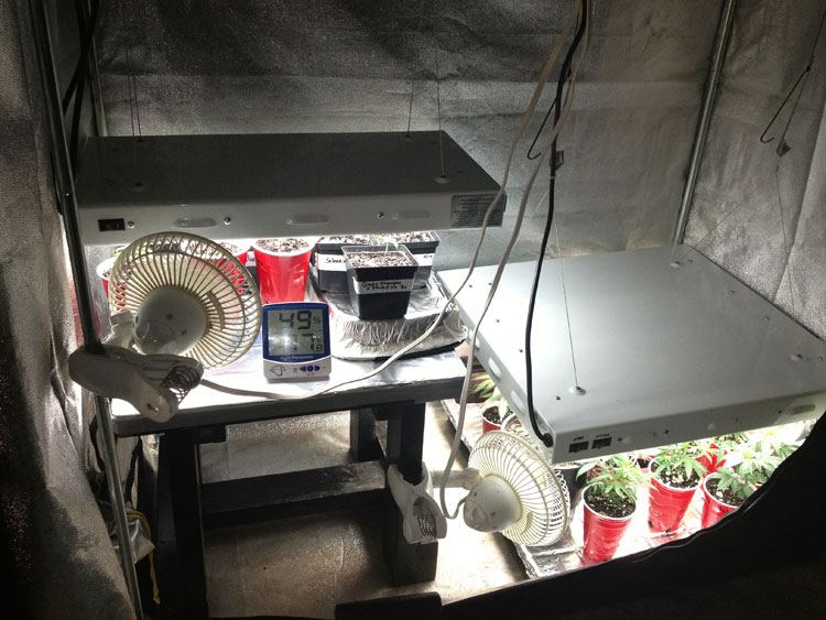 Vegtent