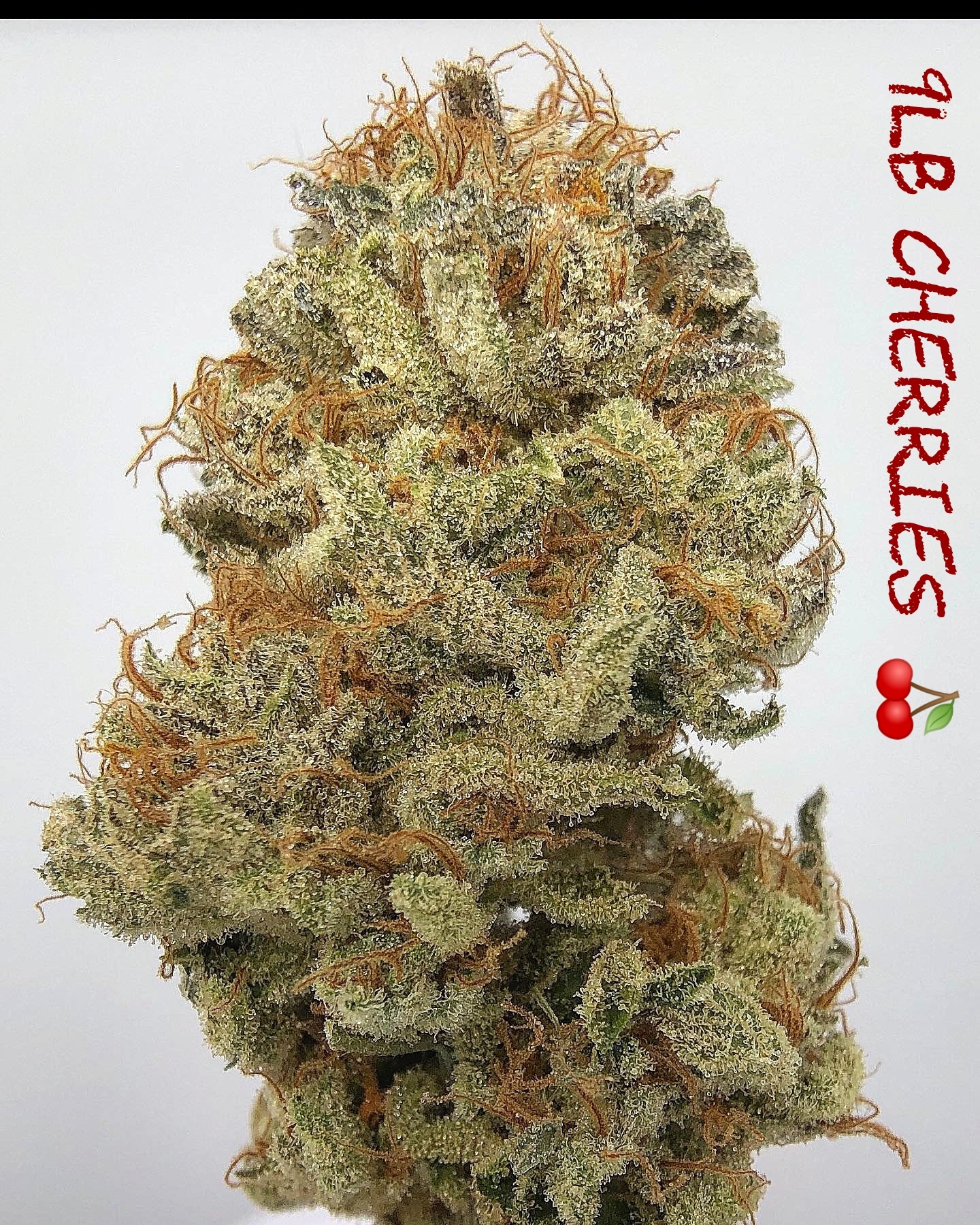 Venomlabs frosty buds from the garden 4