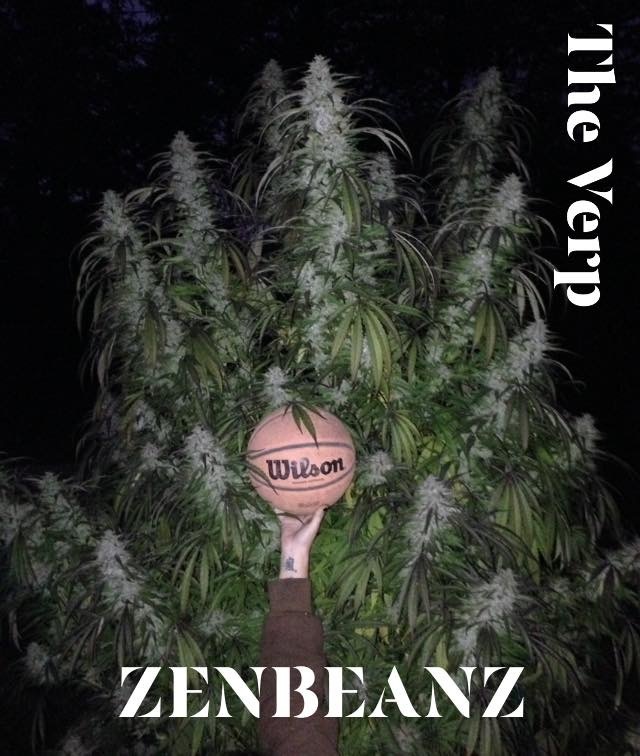 Zenbeanz on THCFarmer : 