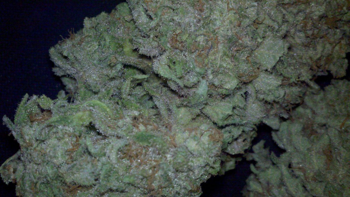 Very berry kush you havent seen anything like it 3