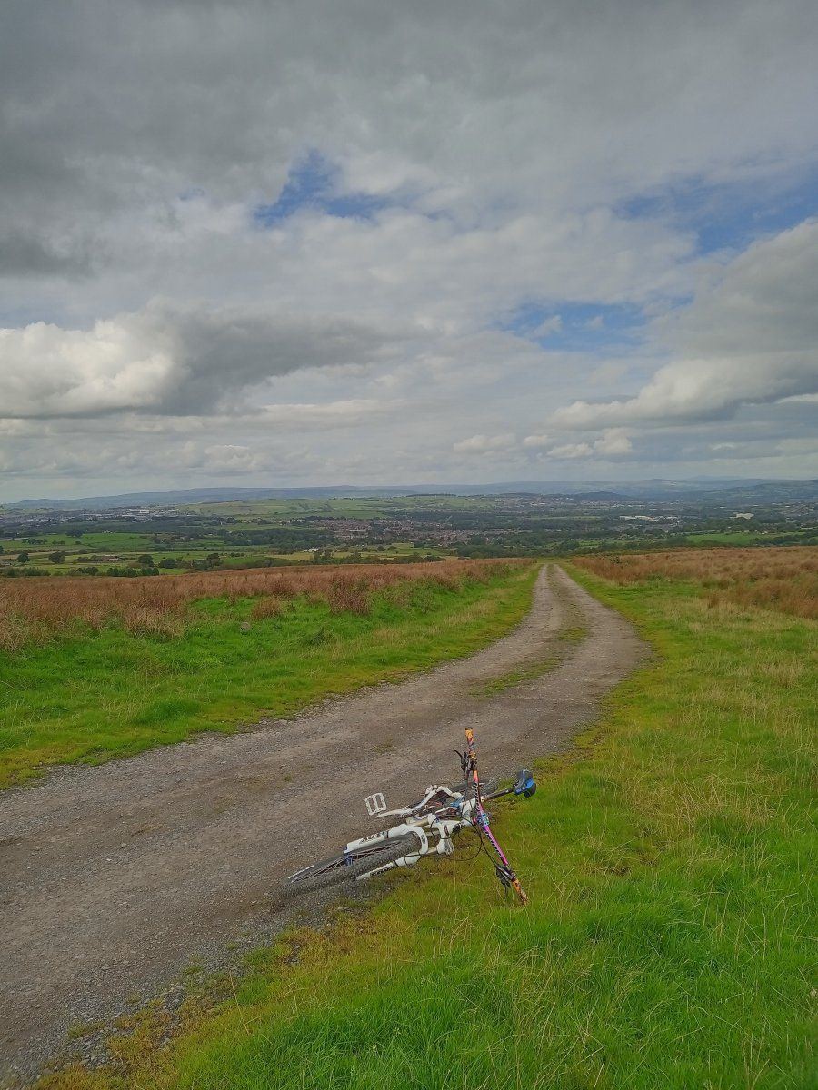 View