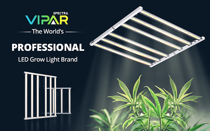 ViparSpectra 420 Home Page image