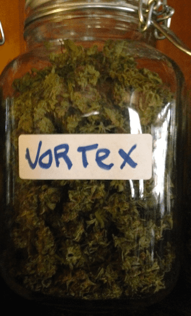 Vortex