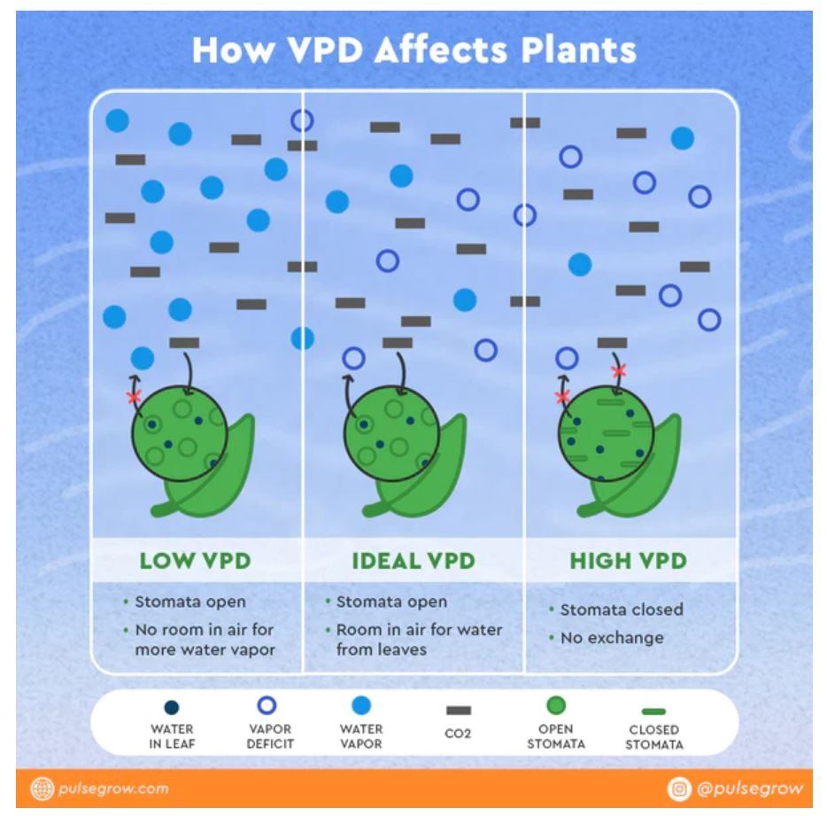 VPD howto