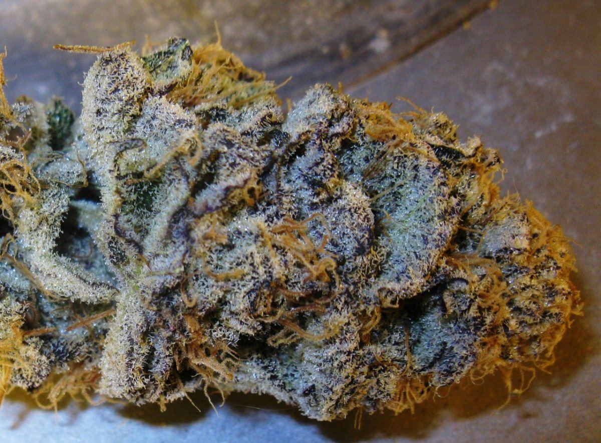 Vpd wifi c pic  044